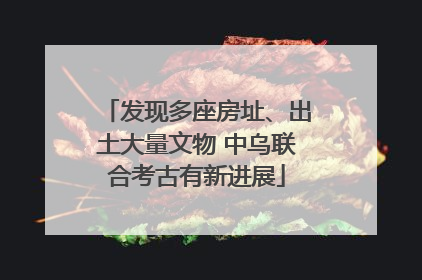 发现多座房址、出土大量文物 中乌联合考古有新进展