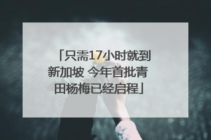 只需17小时就到新加坡 今年首批青田杨梅已经启程