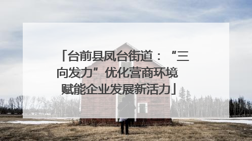 台前县凤台街道：“三向发力”优化营商环境 赋能企业发展新活力