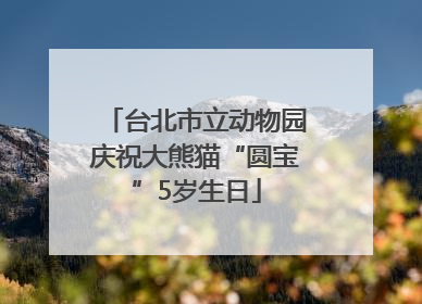 台北市立动物园庆祝大熊猫“圆宝”5岁生日