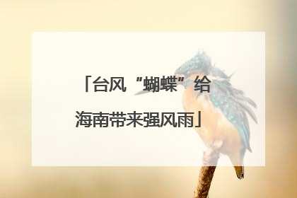 台风“蝴蝶”给海南带来强风雨