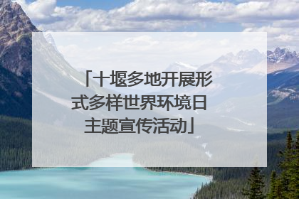 十堰多地开展形式多样世界环境日主题宣传活动