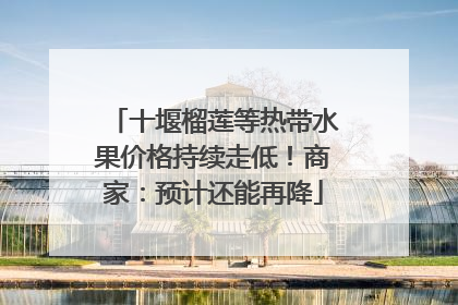 十堰榴莲等热带水果价格持续走低！商家：预计还能再降