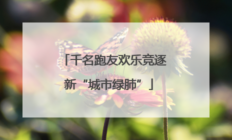 千名跑友欢乐竞逐新“城市绿肺”