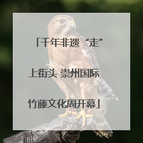 千年非遗“走”上街头 崇州国际竹藤文化周开幕