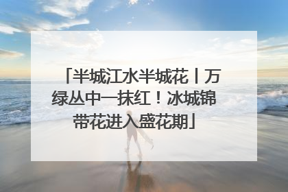 半城江水半城花丨万绿丛中一抹红！冰城锦带花进入盛花期