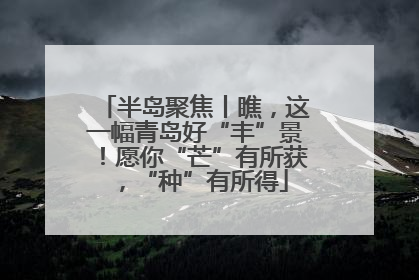 半岛聚焦丨瞧，这一幅青岛好“丰”景！愿你“芒”有所获，“种”有所得