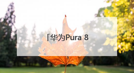 华为Pura 80系列今日开启预约！外观首次亮相：超大三角镜头模组