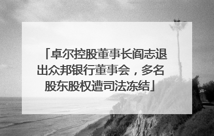 卓尔控股董事长阎志退出众邦银行董事会，多名股东股权遭司法冻结