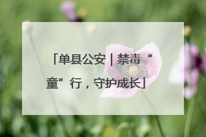 单县公安｜禁毒“童”行，守护成长