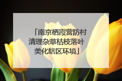 南京栖霞营防村清理杂草枯枝落叶美化辖区环境