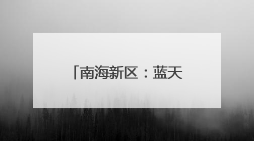 南海新区：蓝天碧海 群鸟翔集