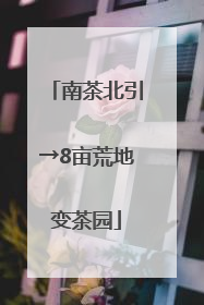 南茶北引→8亩荒地变茶园