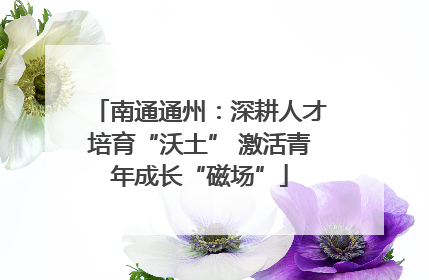 南通通州：深耕人才培育“沃土” 激活青年成长“磁场”