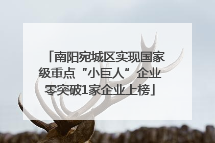 南阳宛城区实现国家级重点“小巨人”企业零突破1家企业上榜