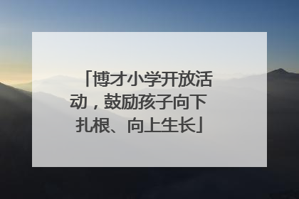博才小学开放活动，鼓励孩子向下扎根、向上生长