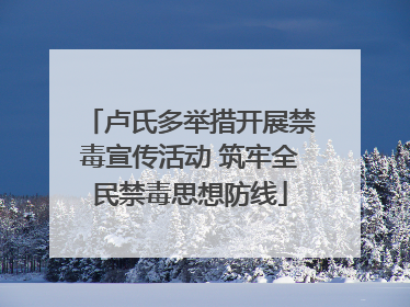 卢氏多举措开展禁毒宣传活动 筑牢全民禁毒思想防线