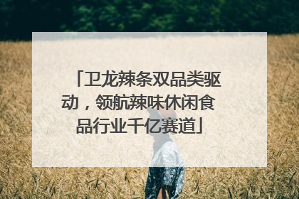卫龙辣条双品类驱动，领航辣味休闲食品行业千亿赛道