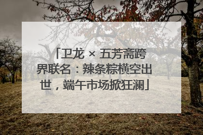 卫龙 × 五芳斋跨界联名：辣条粽横空出世，端午市场掀狂澜