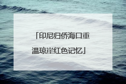 印尼归侨海口重温琼崖红色记忆