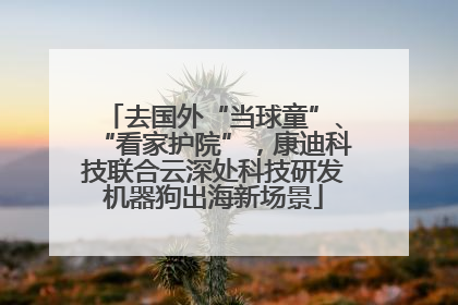 去国外“当球童”、“看家护院”，康迪科技联合云深处科技研发机器狗出海新场景