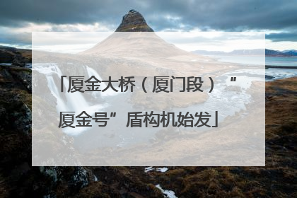 厦金大桥（厦门段）“厦金号”盾构机始发