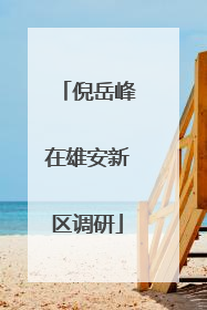 倪岳峰在雄安新区调研