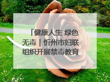 健康人生 绿色无毒｜忻州市妇联组织开展禁毒教育参观学习并开展主题党日活动