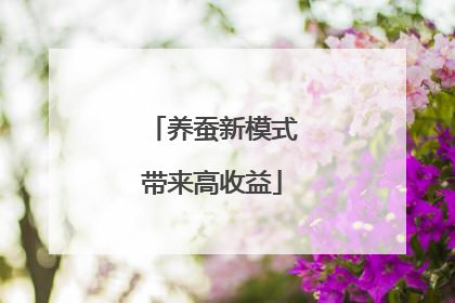 养蚕新模式带来高收益