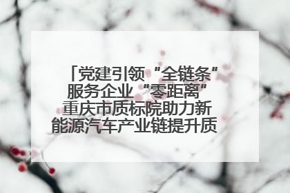 党建引领“全链条” 服务企业“零距离” 重庆市质标院助力新能源汽车产业链提升质量管理水平