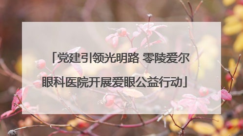 党建引领光明路 零陵爱尔眼科医院开展爱眼公益行动