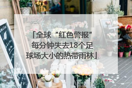 全球“红色警报”  每分钟失去18个足球场大小的热带雨林