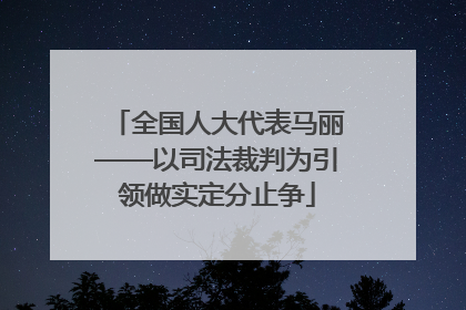 全国人大代表马丽——以司法裁判为引领做实定分止争