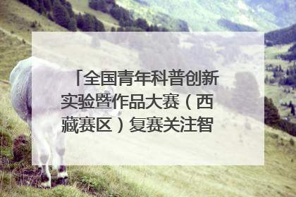 全国青年科普创新实验暨作品大赛（西藏赛区）复赛关注智慧环保等主题
