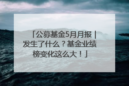 公募基金5月月报｜发生了什么？基金业绩榜变化这么大！