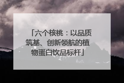 六个核桃：以品质筑基、创新领航的植物蛋白饮品标杆
