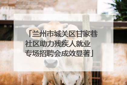 兰州市城关区甘家巷社区助力残疾人就业 专场招聘会成效显著