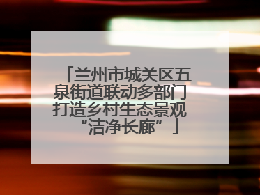兰州市城关区五泉街道联动多部门打造乡村生态景观“洁净长廊”