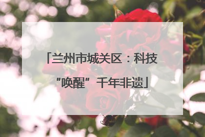 兰州市城关区：科技“唤醒”千年非遗