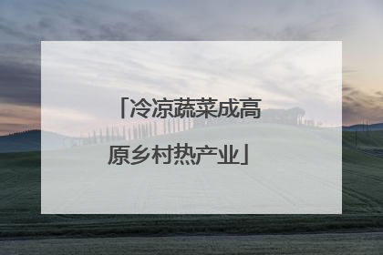 冷凉蔬菜成高原乡村热产业