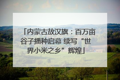 内蒙古敖汉旗：百万亩谷子播种启幕 续写“世界小米之乡”辉煌