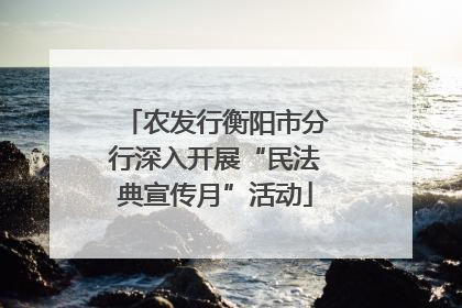 农发行衡阳市分行深入开展“民法典宣传月”活动