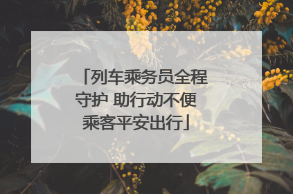 列车乘务员全程守护 助行动不便乘客平安出行