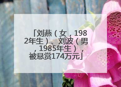 刘燕（女，1982年生）、刘波（男，1985年生），被悬赏174万元
