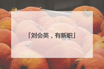 刘会英，有新职