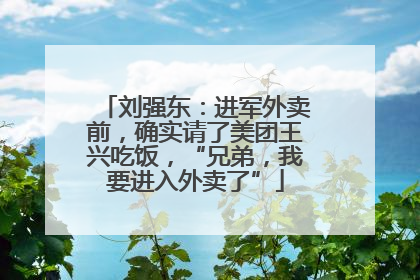 刘强东：进军外卖前，确实请了美团王兴吃饭，“兄弟，我要进入外卖了”