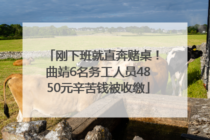 刚下班就直奔赌桌！曲靖6名务工人员4850元辛苦钱被收缴
