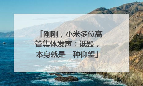 刚刚，小米多位高管集体发声：诋毁，本身就是一种仰望