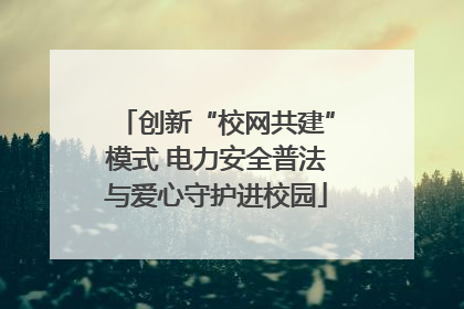 创新“校网共建”模式 电力安全普法与爱心守护进校园