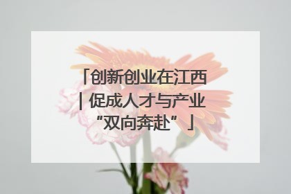 创新创业在江西｜促成人才与产业“双向奔赴”